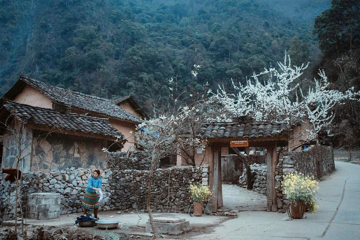 TP.HCM - HÀ GIANG - CAO BẰNG - LẠNG SƠN